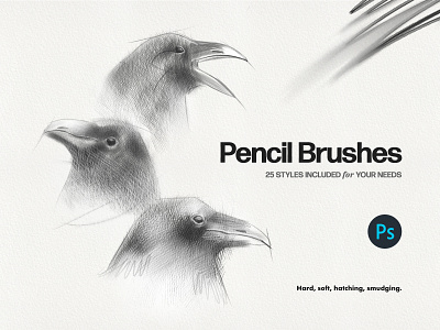 Basic Pencil Photoshop Brushes art brushes calligraphy charcoal crayon doodling drawing graphite hard hatching illustration paper pencil photoshop picture realistic sketching smudge soft texture