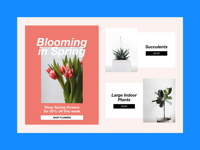 Special Offer #dailyui 036 036 dailyui e commerce flower plants sale special offer ui