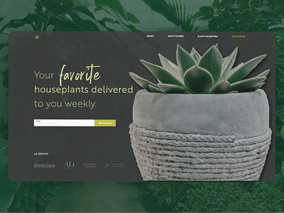 Plant Shop Above the fold – Daily UI 003 abovethefold dailyui003 design get started homepage design plants products uidesign