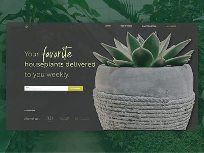 Plant Shop Above the fold – Daily UI 003