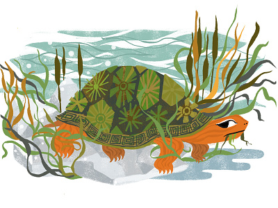 Turtle illustration. nom rocks seaweed sky turtle water