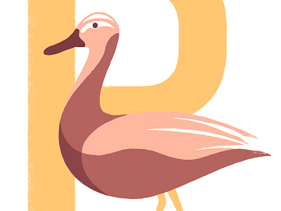 Patito alphabet animal duck illustration