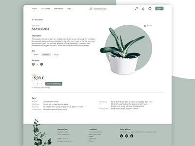 PlantersPlant clean design green plant product detail shop website