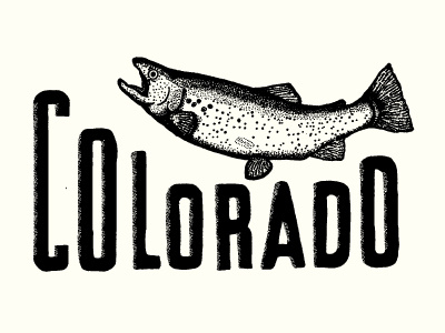 Fishing Campaign branding colorado fishing hand drawn illustration