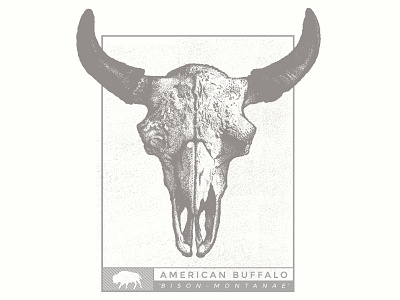 American Buffalo Print bison buffalo hand drawn illustration inking pen and ink poster screen print stippling