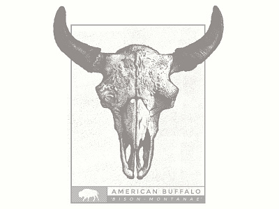 American Buffalo Print