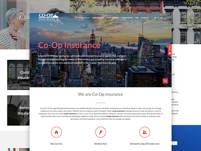 Insurance Website Design design insurance ui ux website