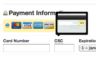 Credit Card CSC Popup credit card icon popup