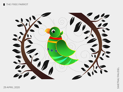 The Free Parrot 2d art art design graphic graphicdesign illustration illustrator poster vector