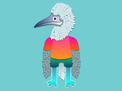 Blue Footed Booby affinity designer 4 ipad pro character illustration