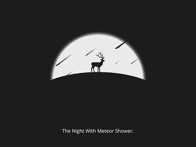 The Night With Meteor Shower