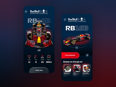 FORMULA 1 - RED BULL RACING CAR 2021 car drs f1 formula 1 formula one front wing glass rbr red bull racing ui