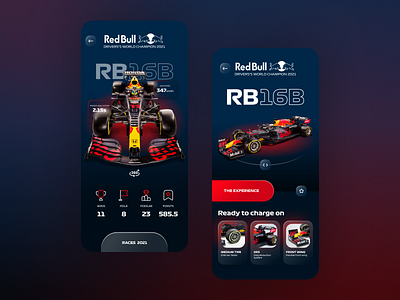 FORMULA 1 - RED BULL RACING CAR 2021 car drs f1 formula 1 formula one front wing glass rbr red bull racing ui