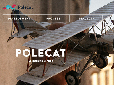 Polecat 2, behind the scenes airplain case study in progress process progress story