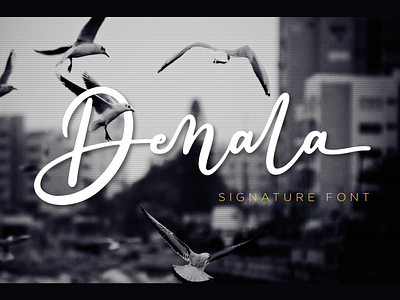 Denala - Signature Font beautiful branding business design font handwriting handwritten illustration lettering typography