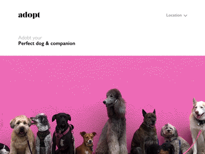 Adopt : Dog adoption website animation imagery interaction design interface design motiondesign ui ux design visual websitedesign