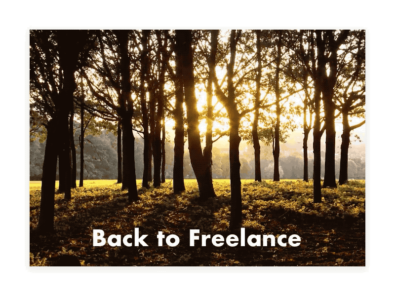 Back To Freelance design design app framer principle web