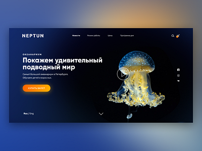 Аquarium design site ui ux web