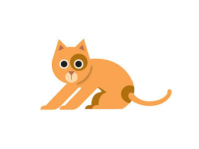 Cat cat illustration orange pet