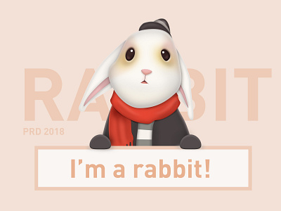 I'm a Rabbit design illustration ui
