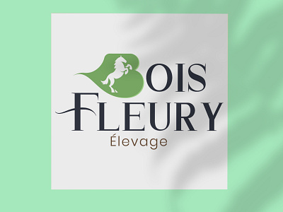 Elevage du Bois Fleury - Logo concept branding design graphic design graphism horses illustrator logo logo concept logo design typography