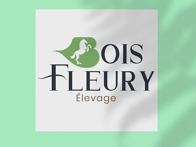Elevage du Bois Fleury - Logo concept