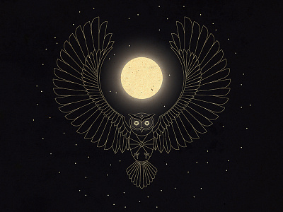 Owl about that bird illustration line drawing moon night owl