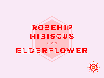 Fitch Brew Co. sparkling tea rosehip hibiscus & elderflower branding design illustration illustrator line art typography