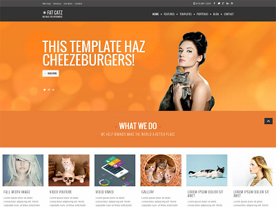 Fat Catz website template template web design website