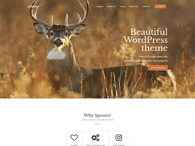 Spoons WordPress Theme business envato little neko theme themeforest web design wordpress