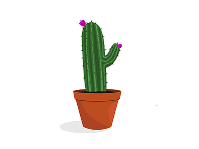 Illustrations Cacti Long