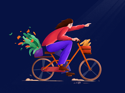 A girl on a bicycle bicycle color flower girl illustration