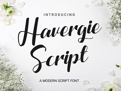 Havergie Script elegant font font modern font script