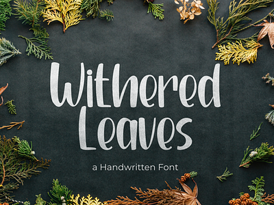 Withered Leaves Handwritten Font elegant font handwritten script