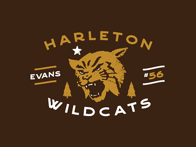 Wildcats Shirt animal baseball cat football high school mascot sports vintage