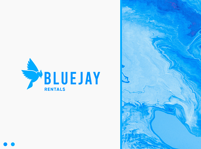 BlueJay Rentals Logo Design brand identity branding design graphic design logo
