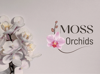 Moss Orchids Logo Design brand identity branding design graphic design graphics logo