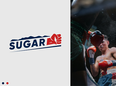 Sugar Logo Design boxing brand identity branding design graphic design logo