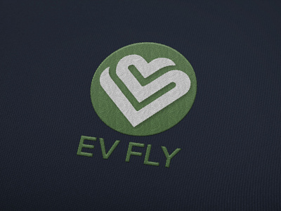 EV FLY brand identity branding design graphic design graphics icon illustration logo logo design typography