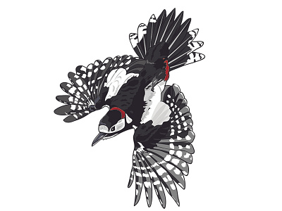 Great spotted woodpecker adobeillustrator characterdesign digitalillustration illustration woodlandcreature woodlandtrust woodpecker