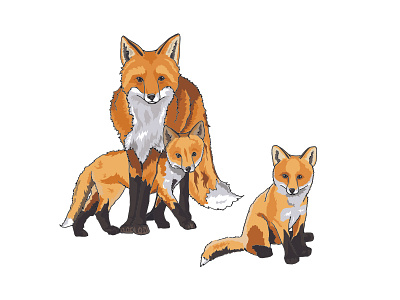 Red Fox adobeillustrator characterdesign digitalillustration foxcubs illustration redfox woodlandcreature woodlandtrust
