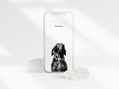 iPhone 12 PRO Clay Scene Free Mockup