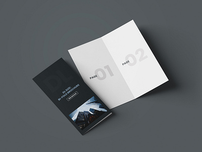 DL Bi-Fold Brochure Free Mockup