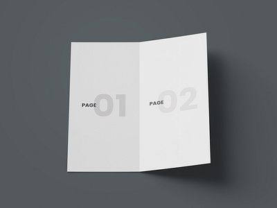 Open DL Bi-Fold Brochure Free Mockup