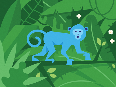Monkey costa rica illustration jungle monkey rain forest tropical