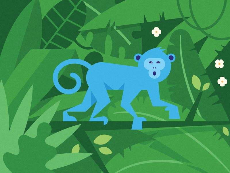 Monkey costa rica rain forest tropical monkey jungle illustration