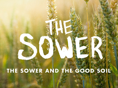 Sower brush hand lettering sermon sow