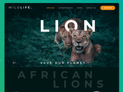 Wildlife animal design minimal typography ui ux web website