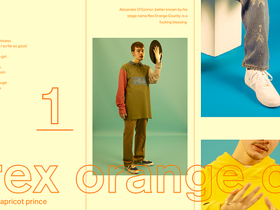 rex orange county apricot princess merch