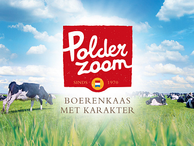 Polderzoom Logo brand branding cheese cow creation farm logo meadow product retail typographic